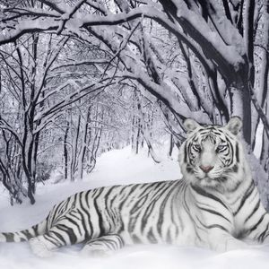 Meet your Posher, Eloiza